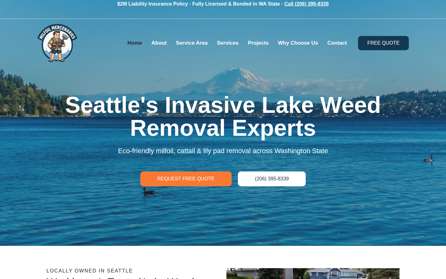 Milfoil Mercenaries project